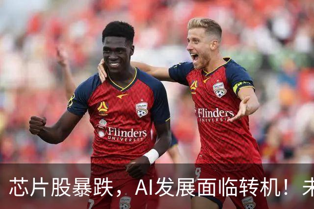 芯片股暴跌，AI发展面临转机！未来趋势如何解析？